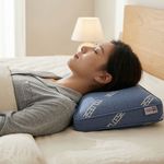 TOLOESE Cure Pillow Ergonomic Cervical Neck Support Red Infrared Mineral Deep Sleep Cushion _ Made in KOREA